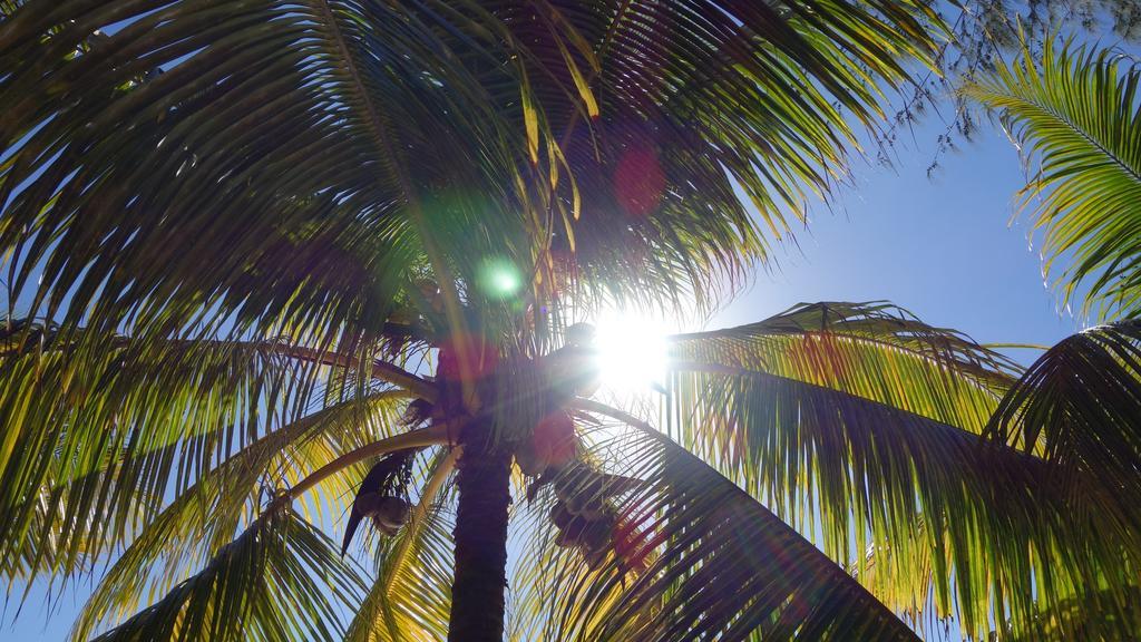 Coconuts Villa Grand Baie Esterno foto